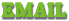 Email Address