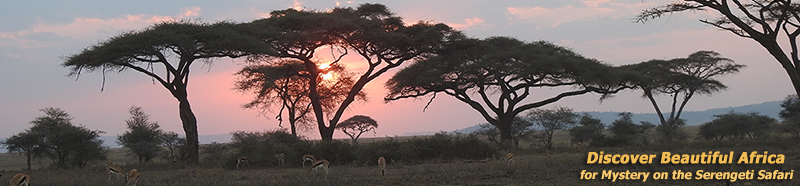 African Sunset in Serengeti